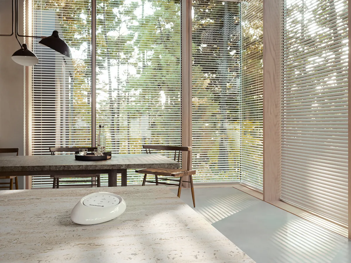 blides-2 Blinds